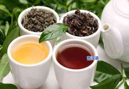 合肥普洱茶加盟哪家好？权威排行榜揭晓，助您轻松选址创业！