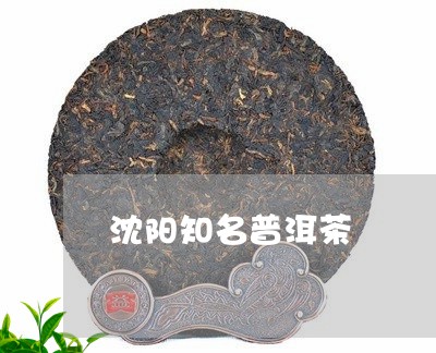 沈阳普洱茶厂家推荐：沈阳优质普洱茶生产厂家及知名介绍