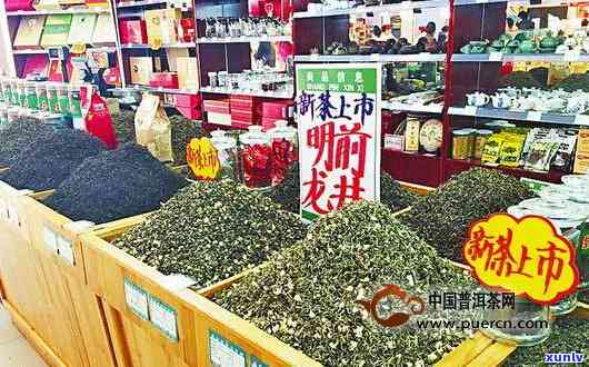 全面解析潍坊茶博城茶叶品质与口碑，助您轻松挑选优质好茶！