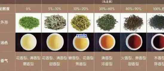 绿茶普洱茶区别：你不可不知的茶文化知识