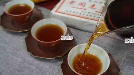 全面评测：老同志普洱茶熟茶品质、口感、功效与选购指南