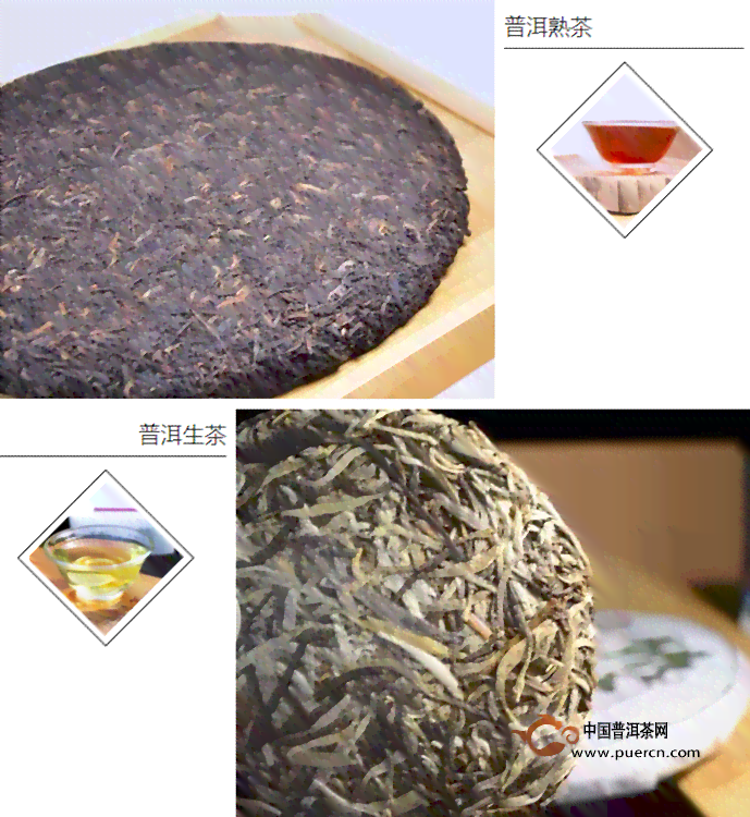 洱普洱茶属于什么茶种类