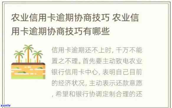 农行信用卡逾期还款协商攻略：如何有效处理债务问题