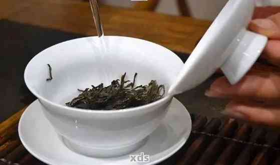 蕴品普洱茶冲泡指南：如何选择冲泡方法与技巧，以品尝到茶叶的风味