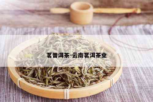 云南茗鼎茶业普洱茶怎么样