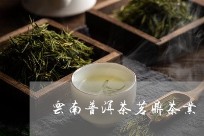 云南茗鼎茶业普洱茶怎么样