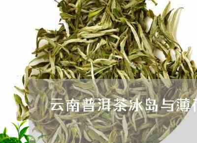 冰岛茶：薄荷口味的独特魅力与特点详解