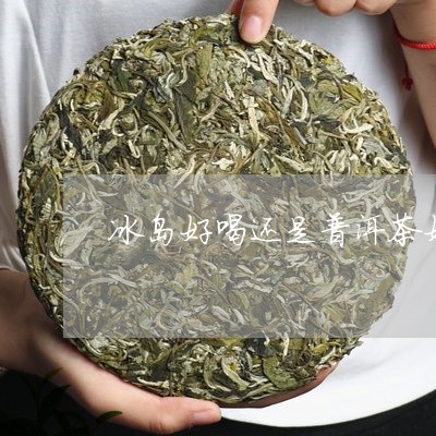 冰岛与薄荷塘普洱哪个好喝？