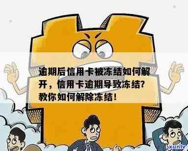 办信用卡逾期怎么解除银行卡限制与冻结