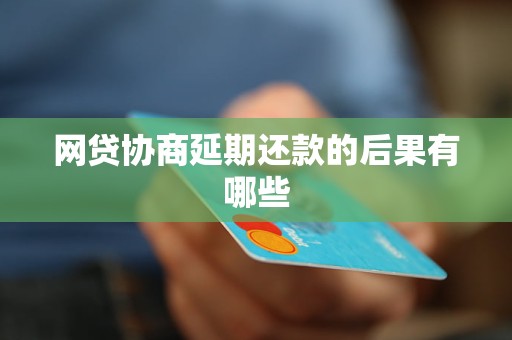 丰富的信用历能否支持我在有多个网贷的情况下再次借款？