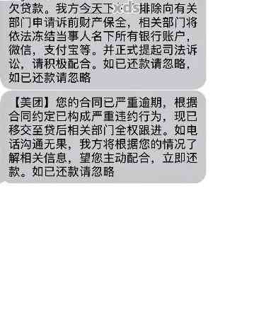 美团贷款逾期两天后的电话：处理策略与建议