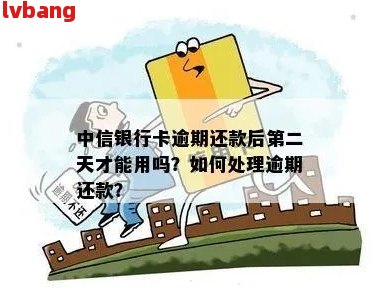 中信信用卡逾期两天，还款日无法调整，如何解决？