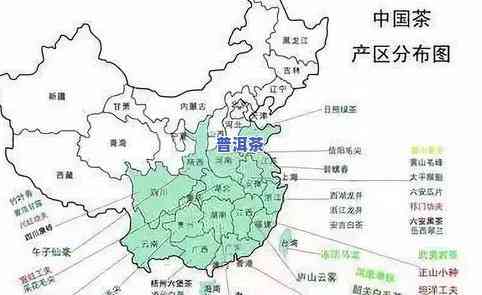 探索中国普洱茶的产地：从云南到其他地区，了解全球主要产茶地