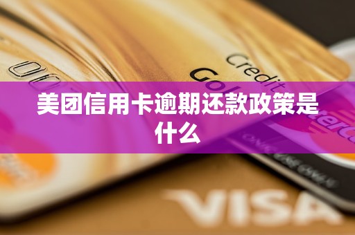 美团逾期还款，用户可能面临的上门拜访原因及相关解决方法全面解析