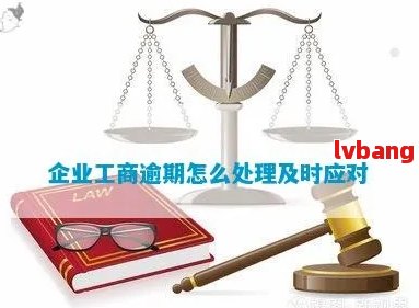 逾期后注册公司的影响与解决方案