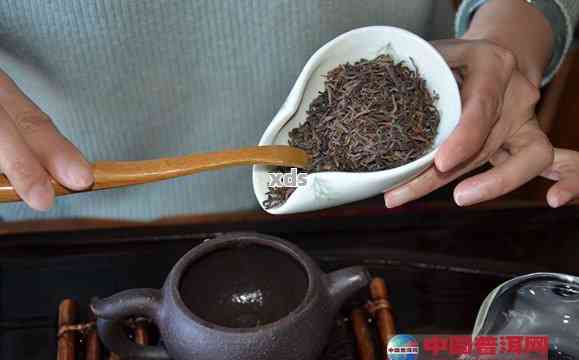 普洱茶冲泡：选择何种紫砂壶泥料以获得口感？