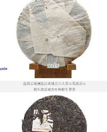 新 '2006年中茶绿大树特级品：生态原料，精工艺，口感浓'