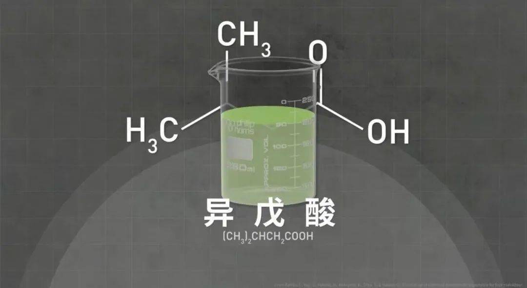 糖白色石英质玉的特征及其产生原因解析：你所不知道的细节