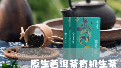 普洱茶生茶有机茶是什么茶