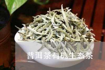 普洱茶生茶有机茶是什么茶