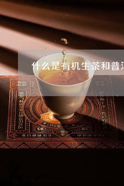 普洱茶生茶有机茶是什么茶