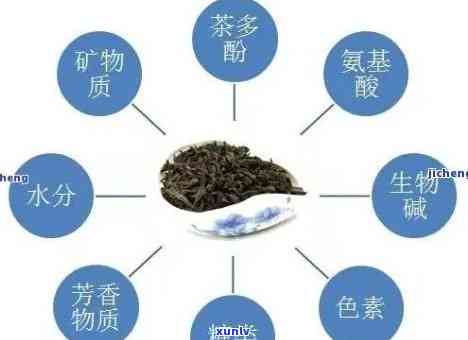 什么普洱茶有层次感和口感好：探索高品质普洱茶的关键元素