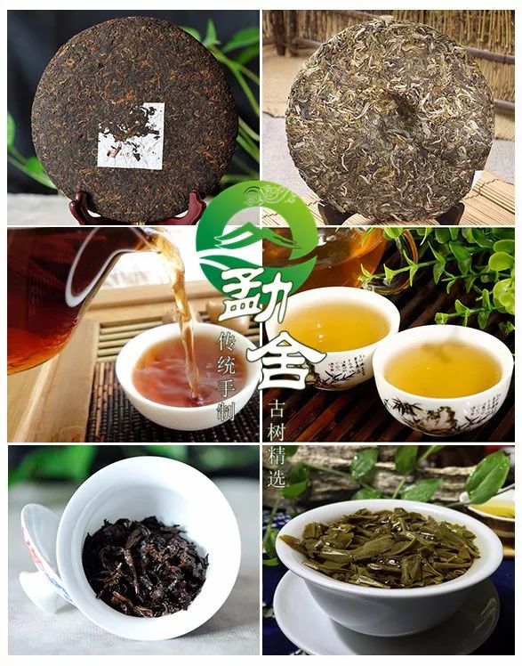 普洱茶生茶有机茶还是熟茶好：功效作用、选择与比较