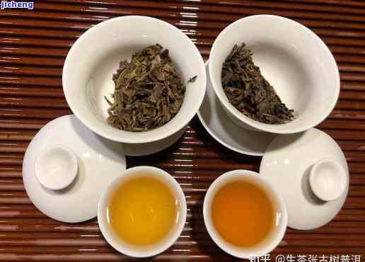 同时享用叶茶与普洱茶：可能的相性及影响分析