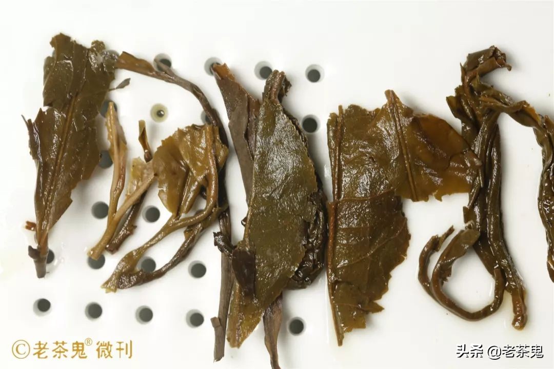 新普洱茶为何陷入炒作困境？揭秘其市场趋势与消费者需求变化