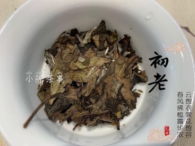 老寿眉喝着有普洱茶的味道