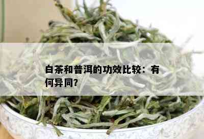 普洱茶和白茶的区别：品味与功效对比解析