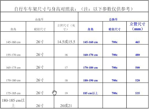 54贵妃适合手带的尺寸选择：根据年龄、身高和个人风格来挑选最合适的手带