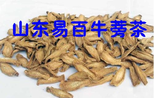 牛蒡茶厂家在哪里：牛蒡茶生产厂家批发供应商，牛蒡茶生产基地。