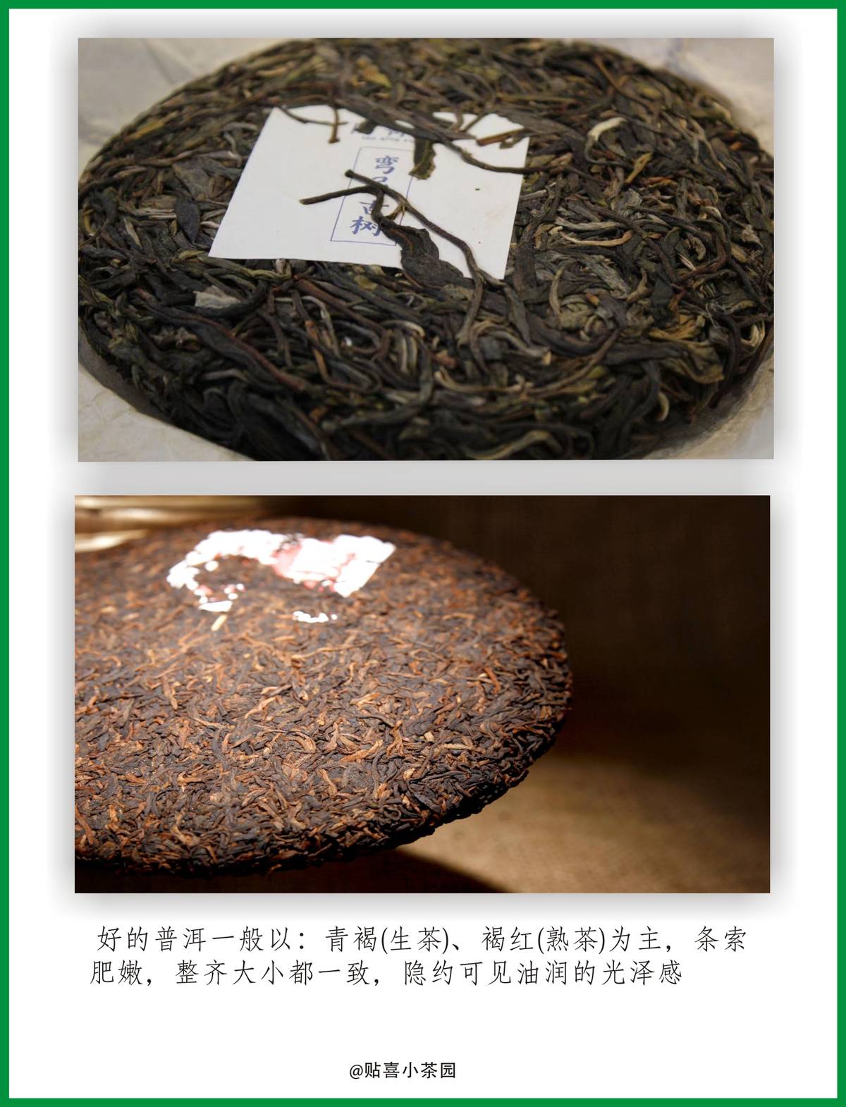 为什么普洱茶中的梗会影响其价格？有没有不带梗的普洱茶？