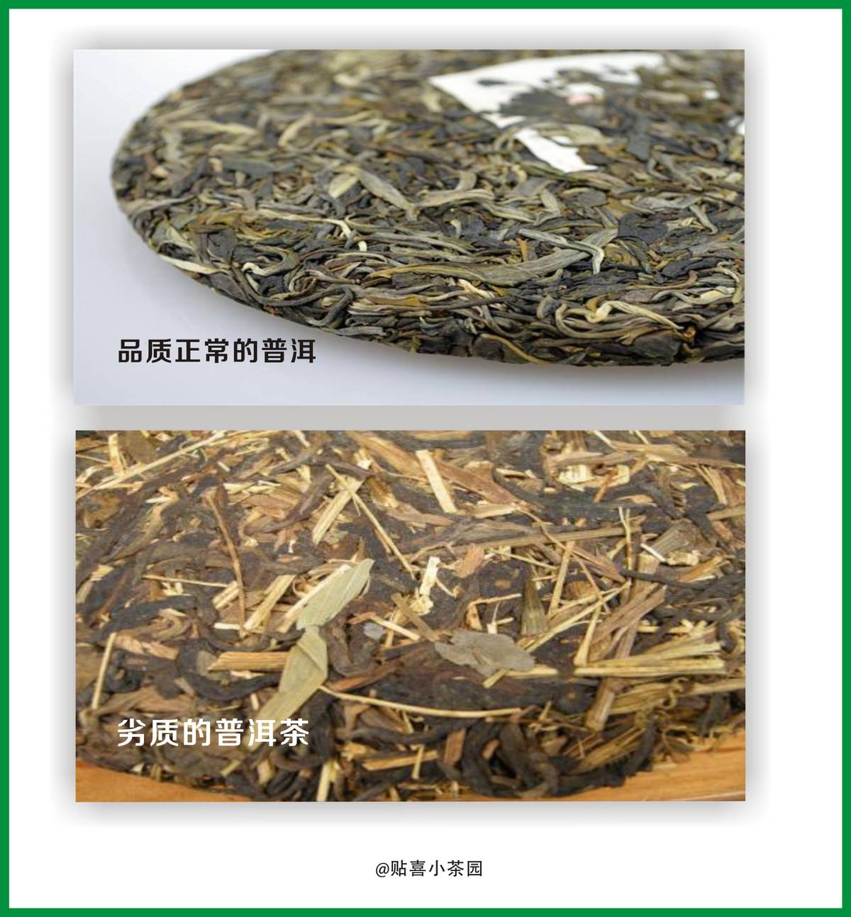 为什么普洱茶中的梗会影响其价格？有没有不带梗的普洱茶？