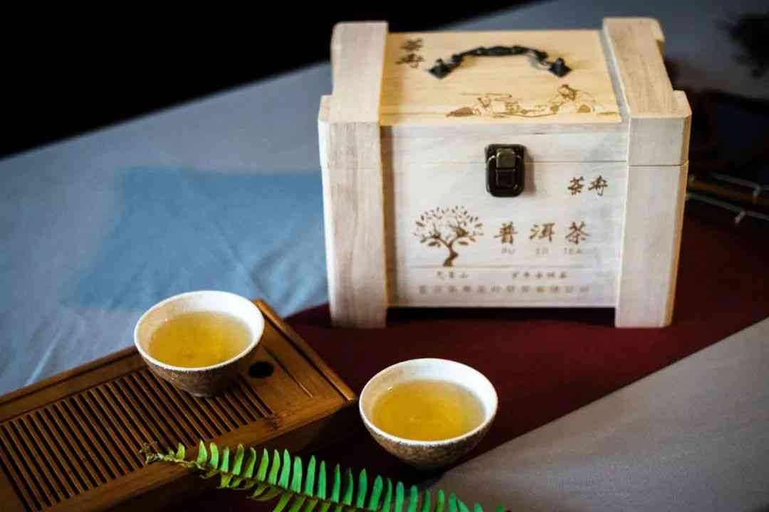 云南普洱茶知名直播间汇总：探访优质茶源，品味独特风味