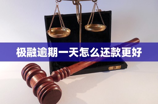 逾期之一天能否借款？极融逾期还款全攻略解答你的疑虑