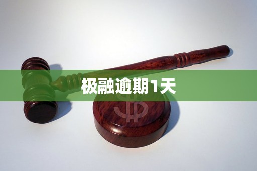 逾期之一天能否借款？极融逾期还款全攻略解答你的疑虑