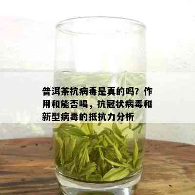 绿茶、普洱茶与抗病效果对比：哪种茶叶更胜一筹？