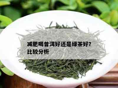 绿茶和普洱茶抗病哪个好