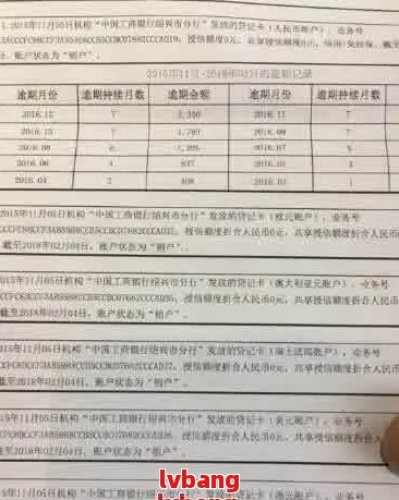 如何看自己的还款协议信息