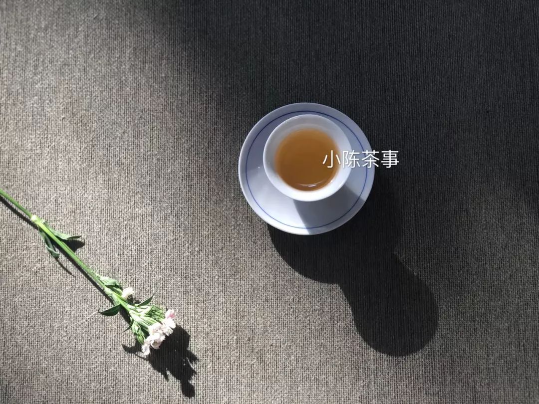 普洱茶直接泡水杯：可以喝吗？