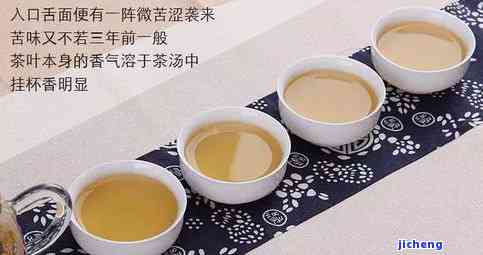 普洱茶：热茶还是凉茶？哪个更适合你的口味？