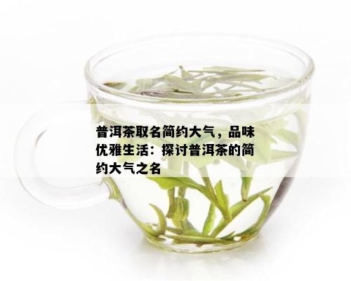 普洱茶取名简约大气-普洱茶取名简约大气代英字