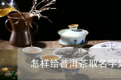 普洱茶取名简约大气-普洱茶取名简约大气代英字