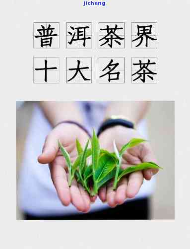 好听的普洱茶名字大全：四个字，茶叶名字精选，适合普洱茶的名字