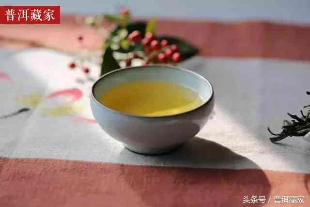 从选茶、泡茶到鉴茶：一篇全面指南教你如何喝出普洱茶的好与坏