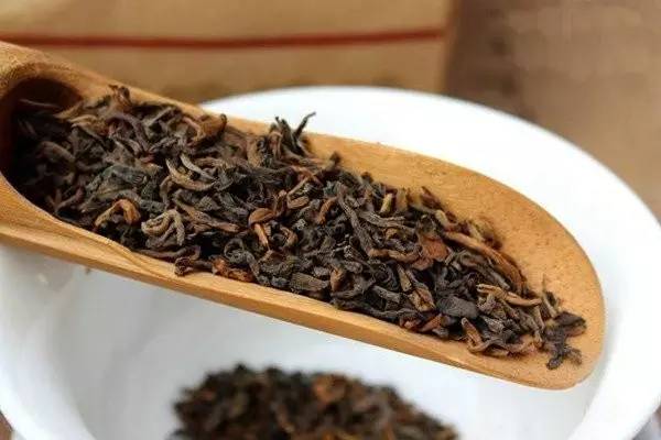 '红茶树与普洱茶区别：两种茶树的特性及制茶过程对比'