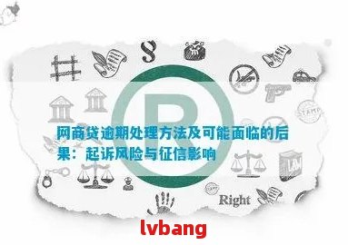 网贷违约2年：原因、影响与解决策略