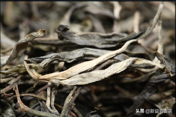 普洱茶饼砖沱哪种好？价格表及龙珠用料更优质，散茶与完整砖的区别在此。